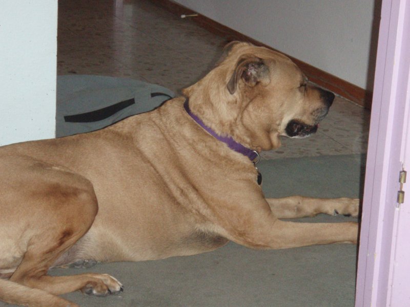 PA082491.jpg