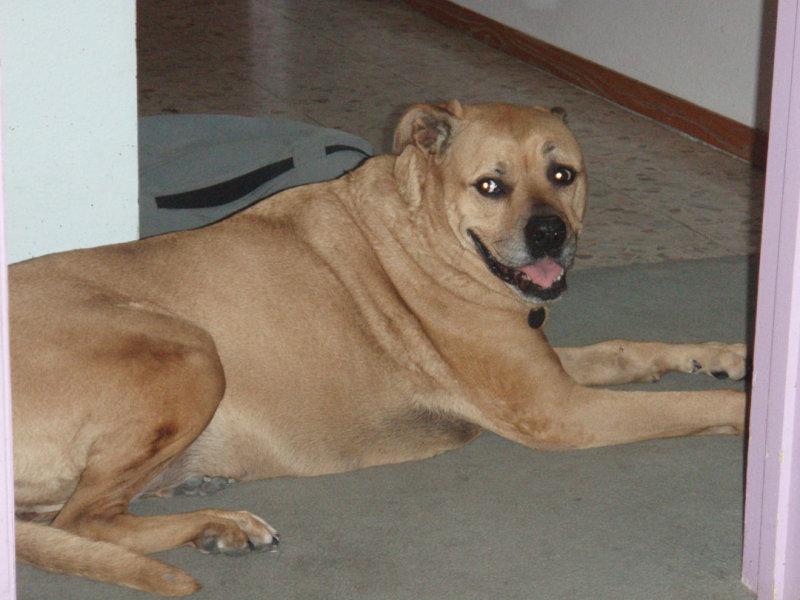 PA082492.jpg