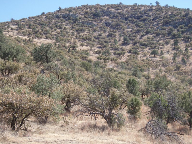 P3071336.jpg