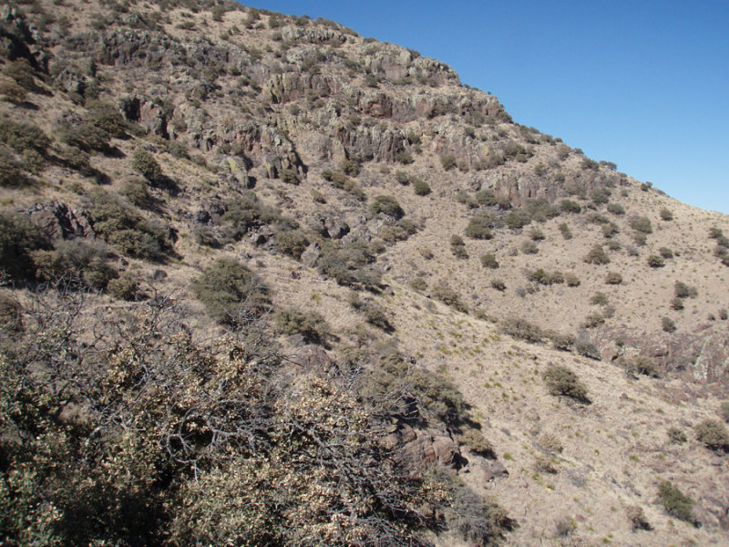 P3071343.jpg