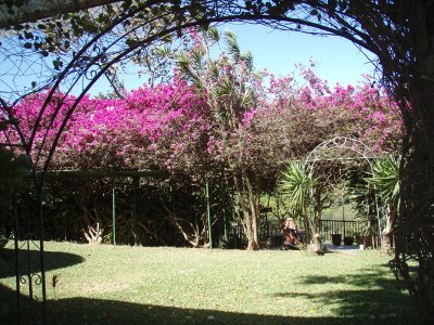 P1040991.jpg