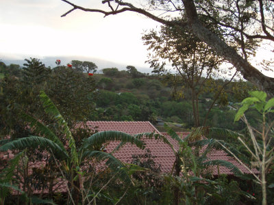P1061032.jpg