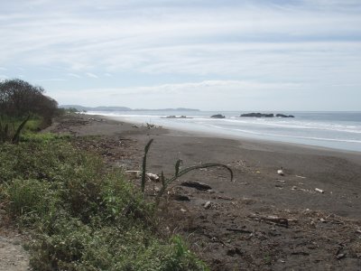 P1081084.jpg