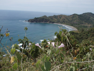P1081099.jpg