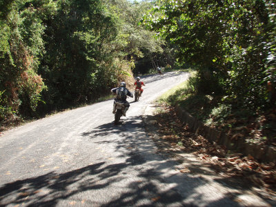 P1091133.jpg