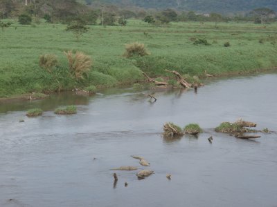 P1091155.jpg