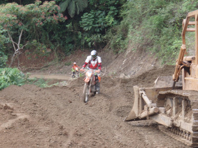 P1101176.jpg