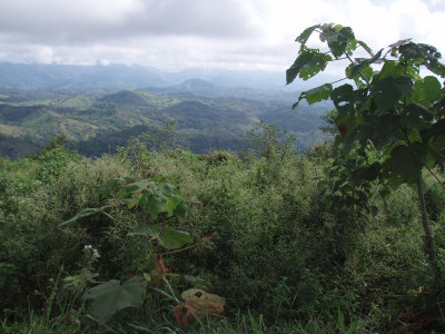 P1101178.jpg