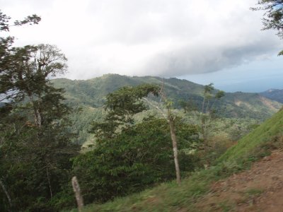 P1101179.jpg