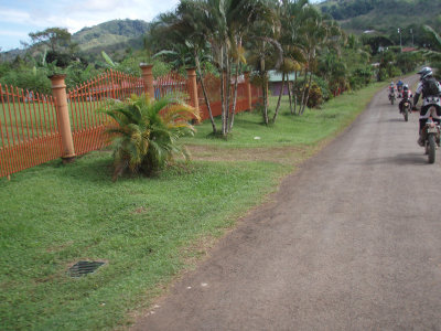 P1101183.jpg