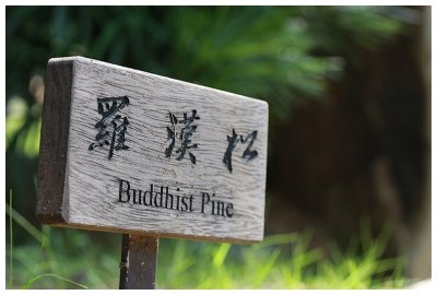 Nan Lian Garden