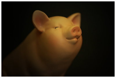 ¨ÓºÖ¨t¦C - ¡uPIGGY¡v