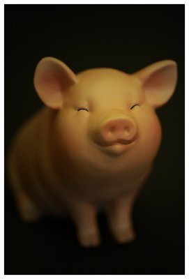 ¨ÓºÖ¨t¦C - ¡uPIGGY¡v