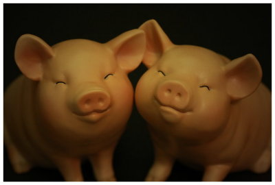 ¨ÓºÖ¨t¦C - ¡uPIGGY¡v