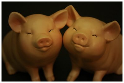 ¨ÓºÖ¨t¦C - ¡uPIGGY¡v