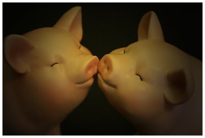 ¨ÓºÖ¨t¦C - ¡uPIGGY¡v