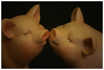 ¨ÓºÖ¨t¦C - ¡uPIGGY¡v