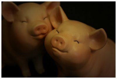 ¨ÓºÖ¨t¦C - ¡uPIGGY¡v