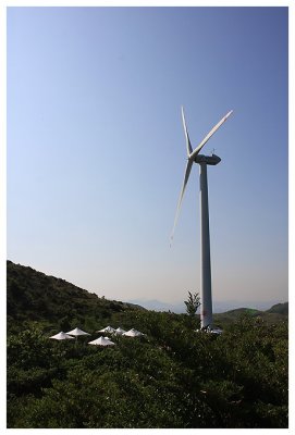 Lamma Island