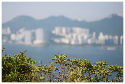 Lamma Island