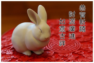 Happy Rabbit 2011
