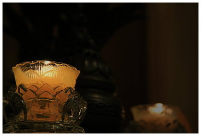g1/08/291208/3/92646047.xYyn0aj7.jpg