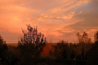 Dawn - DSCN0919.jpg