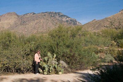 Sabino Canyon DSC_9985.jpg