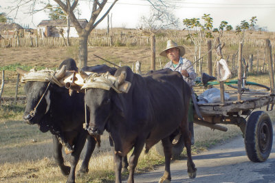 121-DSC00298-Transportation.jpg