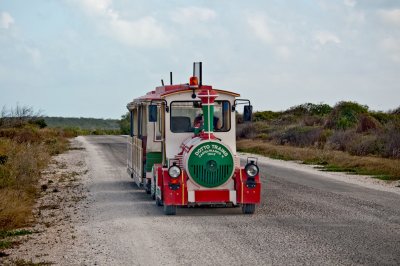160-DSC_1804-Train.jpg