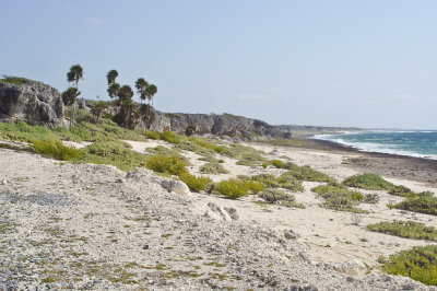236-DSC00467-Coastline.jpg