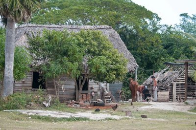 31-DSC_1452-The farrier.jpg