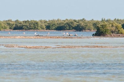 40-DSC_1485-Las Salinas.jpg