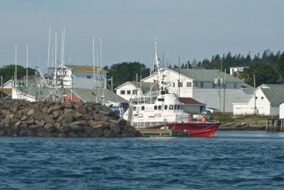 P1000450-1.jpg