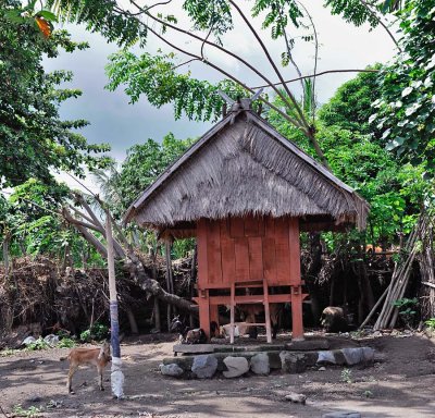 Traditional Sasak Village