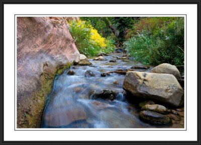 Kanarra Creek