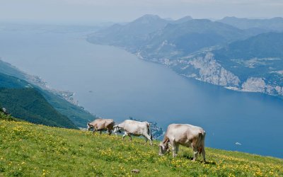 Lake Garda from Monte Baldo