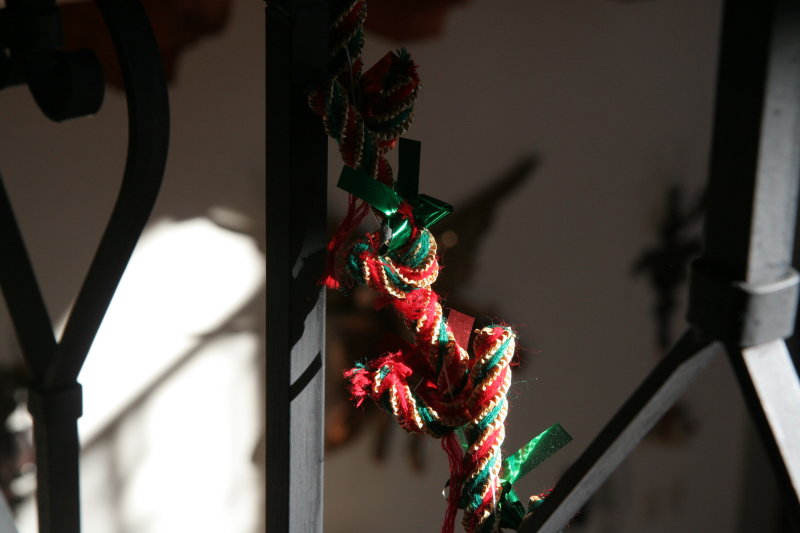 IMG_6643.JPG