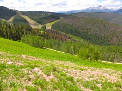 IMG_0358.JPG