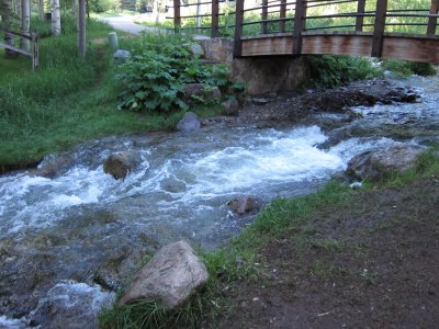 IMG_0320.JPG