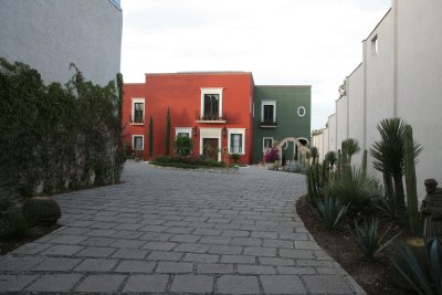 IMG_6525_2.JPG
