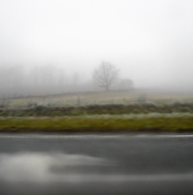 Glimpses from the Road
