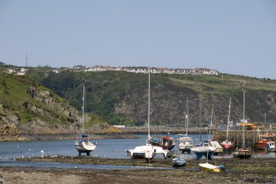 DSC_1777.jpg