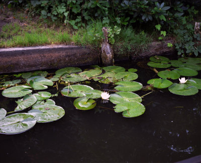 g1/08/554308/3/146056169.r0mMkvNd.jpg
