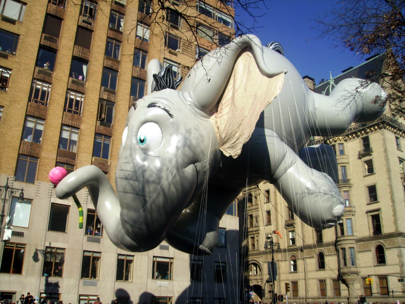 PICT0100.JPG