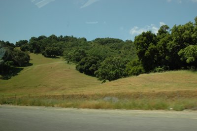 DSC_7383.JPG