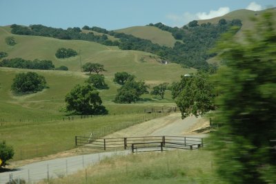 DSC_7398.JPG