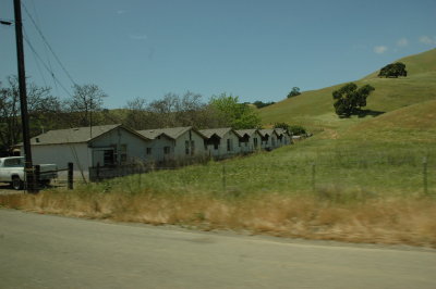 DSC_7404.JPG