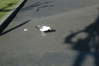 DSC_7753.JPG