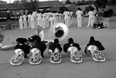 SCSBOA Colony 2010